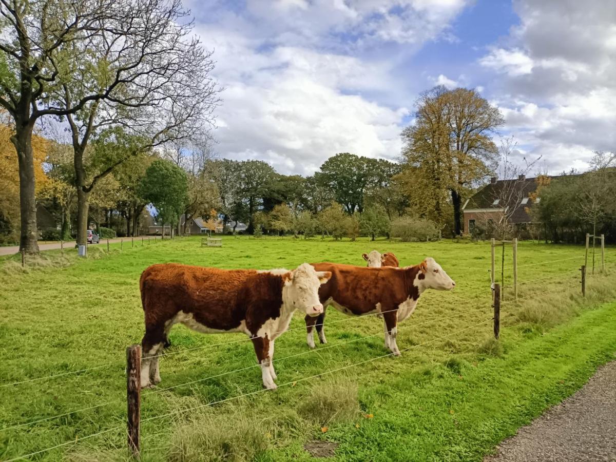 De Lindenhoeve Valthe Exteriör bild