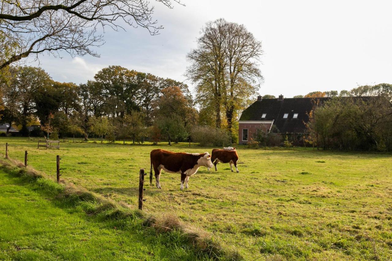 De Lindenhoeve Valthe Exteriör bild